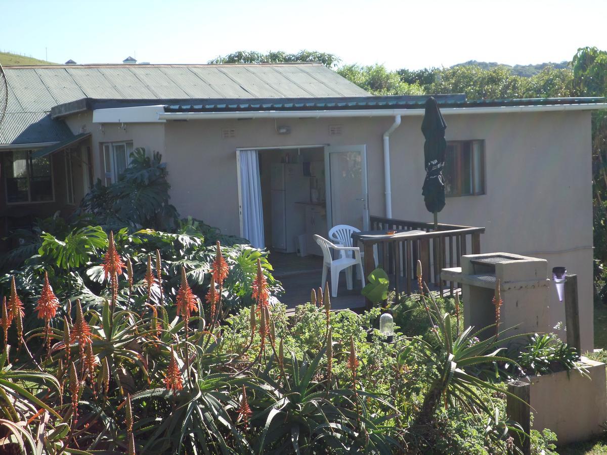 Geckos B&B And Self-Catering Coffee Bay Extérieur photo